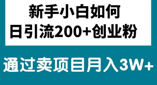 新手小白日引流200+创业粉,通过卖项目月入3W+-创盟网