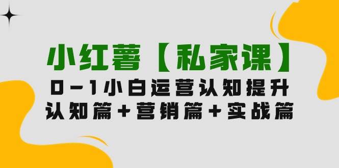 小红薯【私家课】0-1玩赚小红书内容营销，认知篇+营销篇+实战篇（11节课）-创盟网