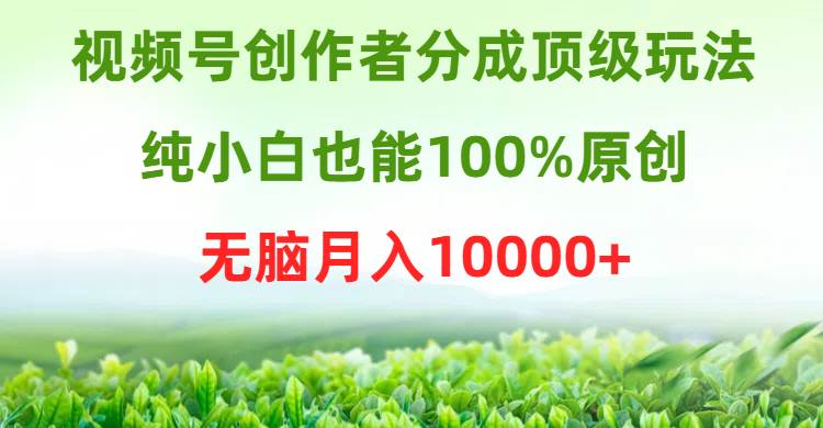 视频号创作者分成顶级玩法，纯小白也能100%原创，无脑月入10000+-创盟网