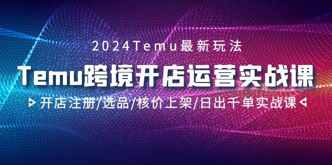 2024Temu跨境开店运营实战课，开店注册/选品/核价上架/日出千单实战课-创盟网