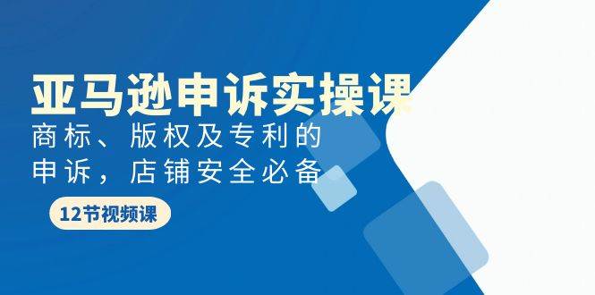 亚马逊-申诉实战课，商标、版权及专利的申诉，店铺安全必备-创盟网