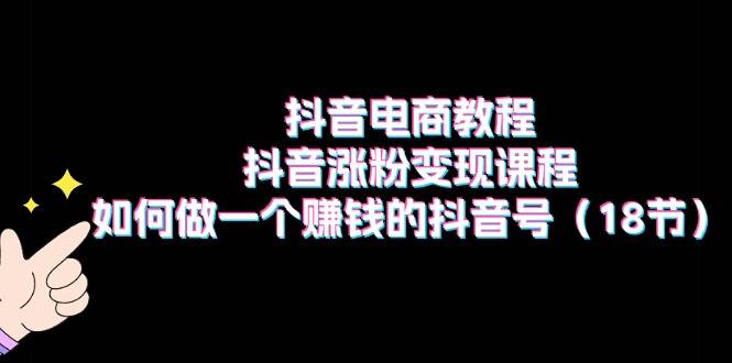 抖音电商教程：抖音涨粉变现课程：如何做一个赚钱的抖音号（18节）-创盟网