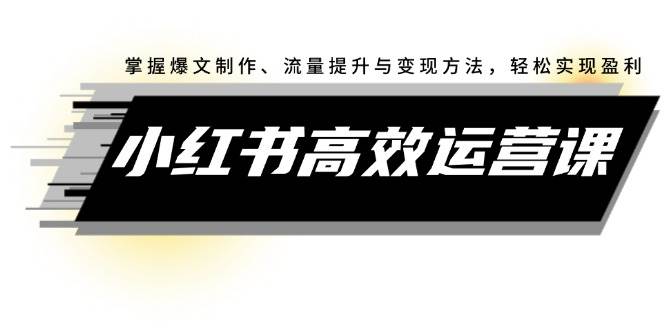 小红书高效运营课：掌握爆文制作、流量提升与变现方法，轻松实现盈利-创盟网