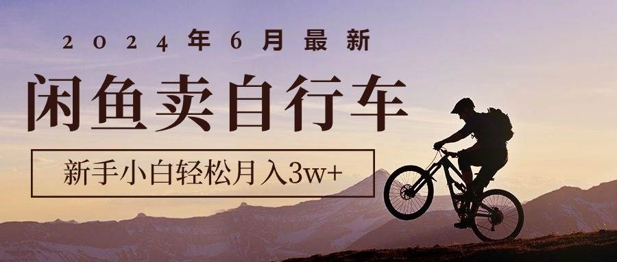 2024年6月最新闲鱼卖自行车，新手小白轻松月入3w+项目-创盟网