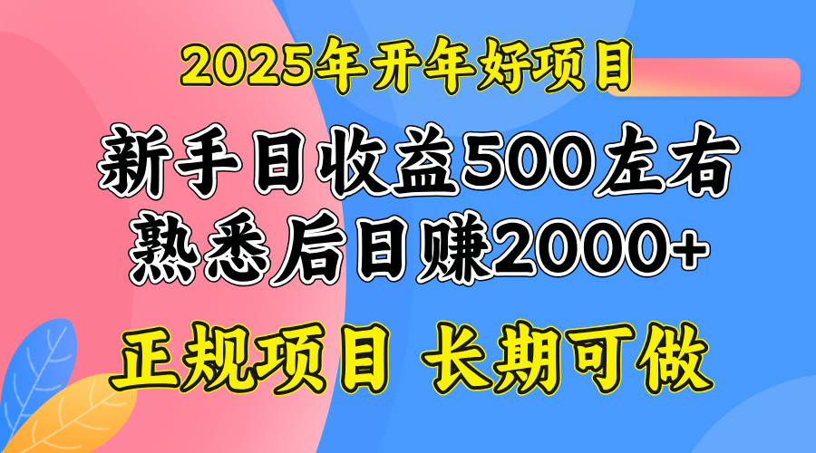 2025开年好项目，单号日收益2000左右-创盟网