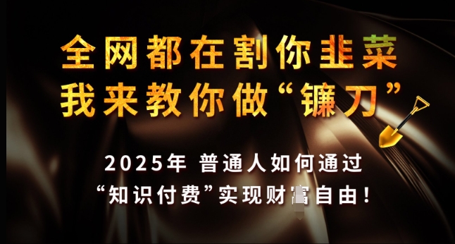全网都在割你韭菜，我来教你做镰刀，2025年普通人如何通过 知识付费 实现财F自由【揭秘】-创盟网