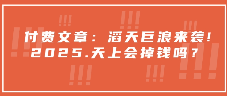 付费文章：滔天巨浪来袭！2025天上会掉钱吗？-创盟网