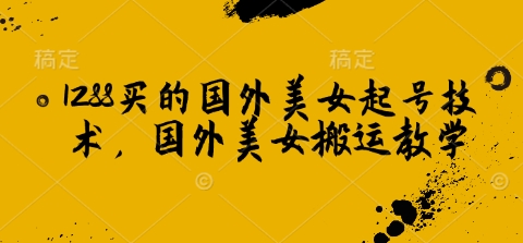 1288买的国外美女起号技术，国外美女搬运教学-创盟网