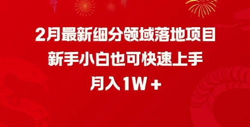 2月最新细分领域落地项目，新手小白也可快速上手，月入1W-创盟网