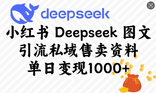 小红书Deepseek图文引流私域售卖资料，单日变现多张-创盟网