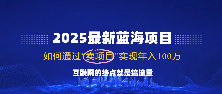 2025最新蓝海项目，零门槛轻松复制，月入10万+，新手也能操作！-创盟网