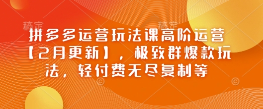 拼多多运营玩法课高阶运营【2月更新】，极致群爆款玩法，轻付费无尽复制等-创盟网