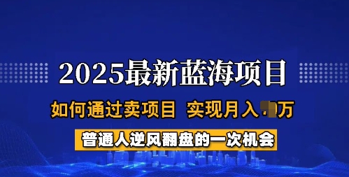 2025蓝海项目，普通人如何通过卖项目，实现月入过W，全过程【揭秘】-创盟网