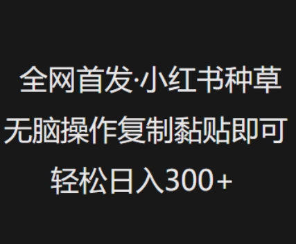 全网首发，小红书种草无脑操作，复制黏贴即可，轻松日入3张-创盟网