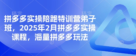 拼多多实操陪跑特训营弟子班，2025年2月拼多多实操课程，海量拼多多玩法-创盟网