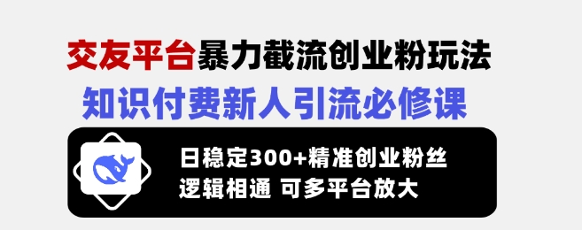 交友平台暴力截流创业粉玩法，知识付费新人引流必修课，日稳定300+精准创业粉丝，逻辑相通可多平台放大-创盟网
