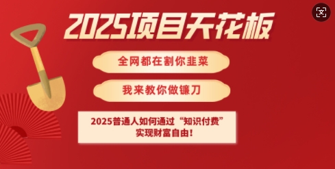 2025项目天花板普通人如何通过知识付费，实现财F自由【揭秘】-创盟网