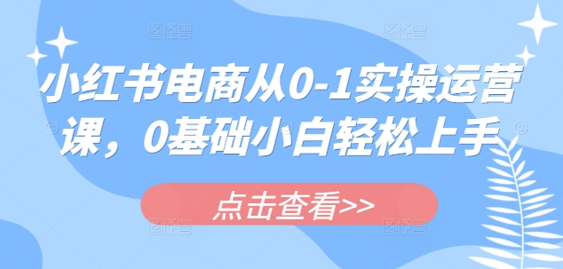 小红书电商从0-1实操运营课，0基础小白轻松上手-创盟网