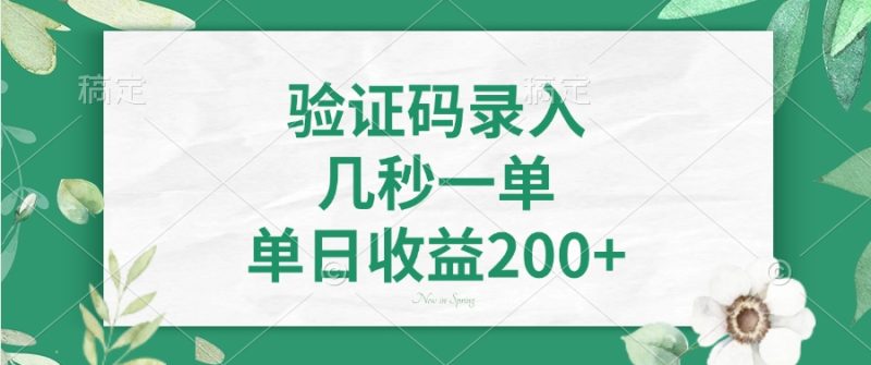 验证码录入,几秒一单,单日收益200+-创盟网