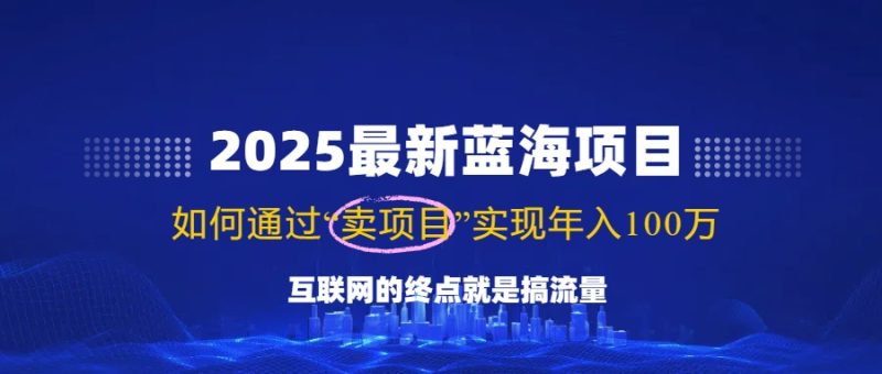 2025最新蓝海项目,零门槛轻松复制,月入10万+,新手也能操作!-创盟网