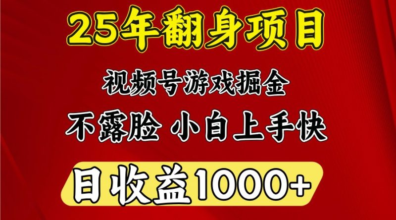 一天收益1000+ 25年开年落地好项目-创盟网