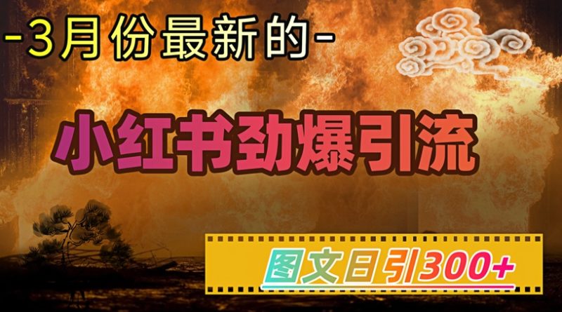 小红书超劲爆引流手段，图文日引300+轻松变现1W-创盟网